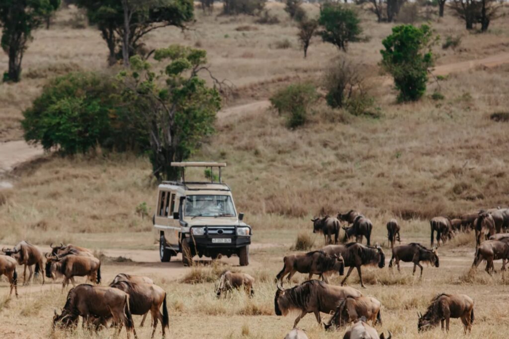 5 Important Things to Do Before Traveling to Tanzania